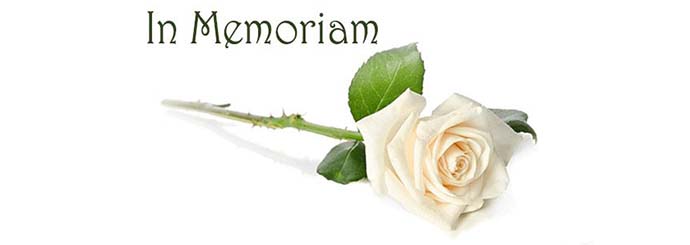 In memoriam Roel van Wijk